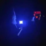 Ghost Party Haunted Tours  photo