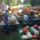 Neeley Farms Pumpkins & Gourds photo