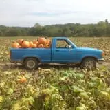 Neeley Farms Pumpkins & Gourds photo