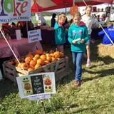 Neeley Farms Pumpkins & Gourds photo