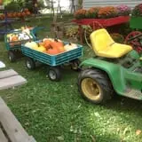Neeley Farms Pumpkins & Gourds photo