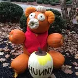Neeley Farms Pumpkins & Gourds photo