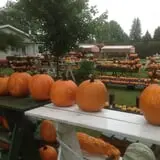Neeley Farms Pumpkins & Gourds photo