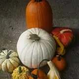 Neeley Farms Pumpkins & Gourds photo