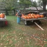 Neeley Farms Pumpkins & Gourds photo
