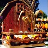 Neeley Farms Pumpkins & Gourds photo