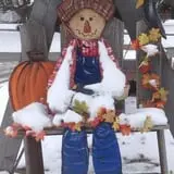 Neeley Farms Pumpkins & Gourds photo