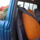 Neeley Farms Pumpkins & Gourds photo