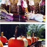 Neeley Farms Pumpkins & Gourds photo