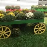 Neeley Farms Pumpkins & Gourds photo