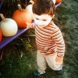 Neeley Farms Pumpkins & Gourds photo