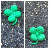 Neeley Farms Pumpkins & Gourds photo