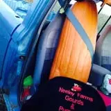 Neeley Farms Pumpkins & Gourds photo