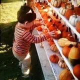 Neeley Farms Pumpkins & Gourds photo