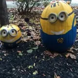 Neeley Farms Pumpkins & Gourds photo
