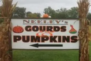 Neeley Farms Pumpkins & Gourds