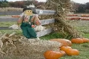 Krochmal Farm Annual Pumpkin Festival