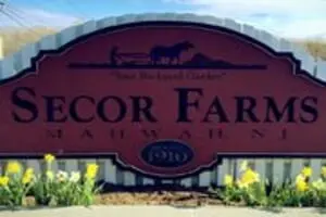 Secor Farms