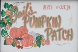 Gail's Pumpkin Patch