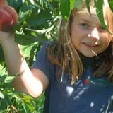 Gould Hill Farm photo