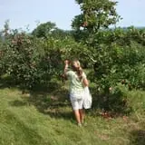 Gould Hill Farm photo