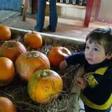 Gould Hill Farm photo