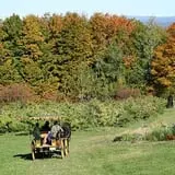 Gould Hill Farm photo