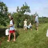 Gould Hill Farm photo