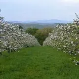 Gould Hill Farm photo