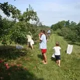 Gould Hill Farm photo