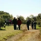 Gould Hill Farm photo