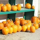 Gould Hill Farm photo