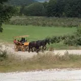 Gould Hill Farm photo