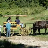 Gould Hill Farm photo