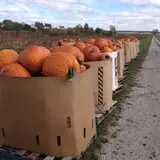 Keller's Farmstand photo