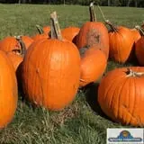 Keller's Farmstand photo