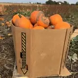 Keller's Farmstand photo