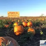 Keller's Farmstand photo