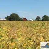 Keller's Farmstand photo