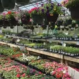 Keller's Farmstand photo