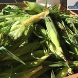Keller's Farmstand photo