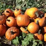 Keller's Farmstand photo