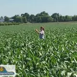 Keller's Farmstand photo