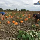 Keller's Farmstand photo
