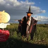 Keller's Farmstand photo