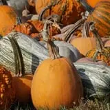 Keller's Farmstand photo