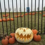 Keller's Farmstand photo