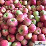 Keller's Farmstand photo