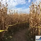Keller's Farmstand photo