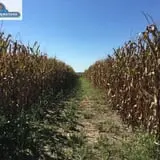 Keller's Farmstand photo